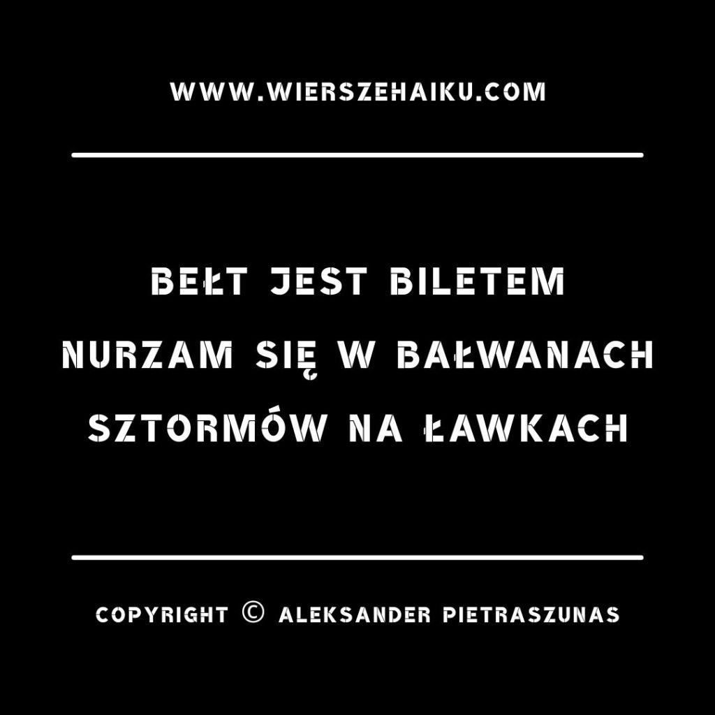 świat haiku :

bełt jest biletem
nurzam się w bałwanach
sztormów na ławkach
