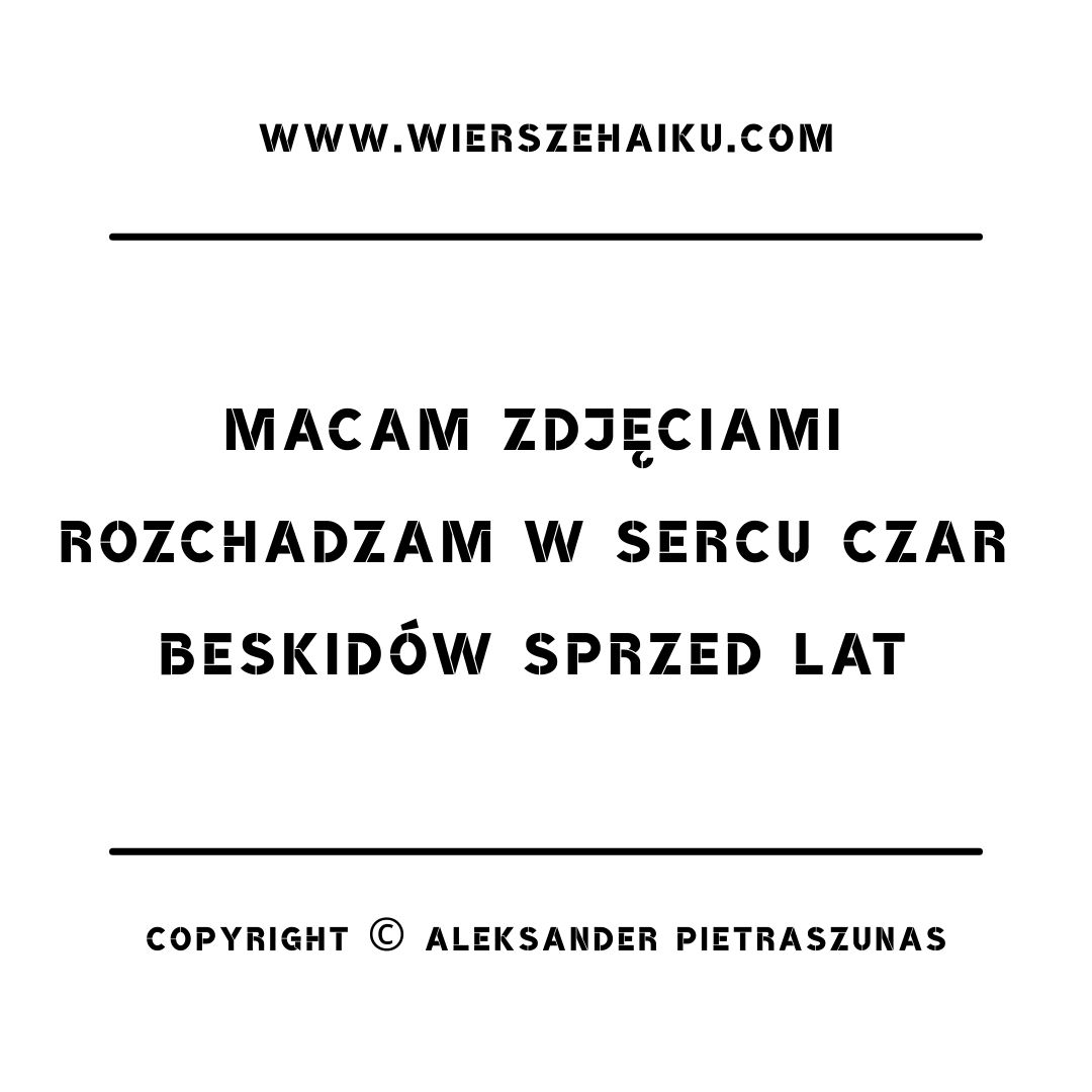 poezja haiku - macam zdjęciami