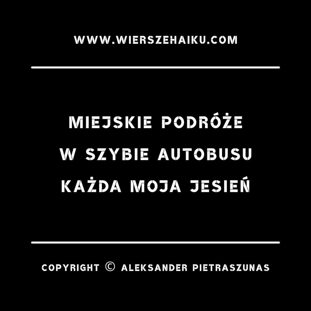 polskie haiku :

miejskie podróże
w szybie autobusu
każda moja jesień
