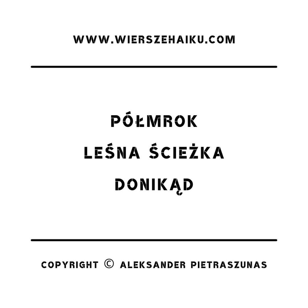 wiersze haiku - półmrok