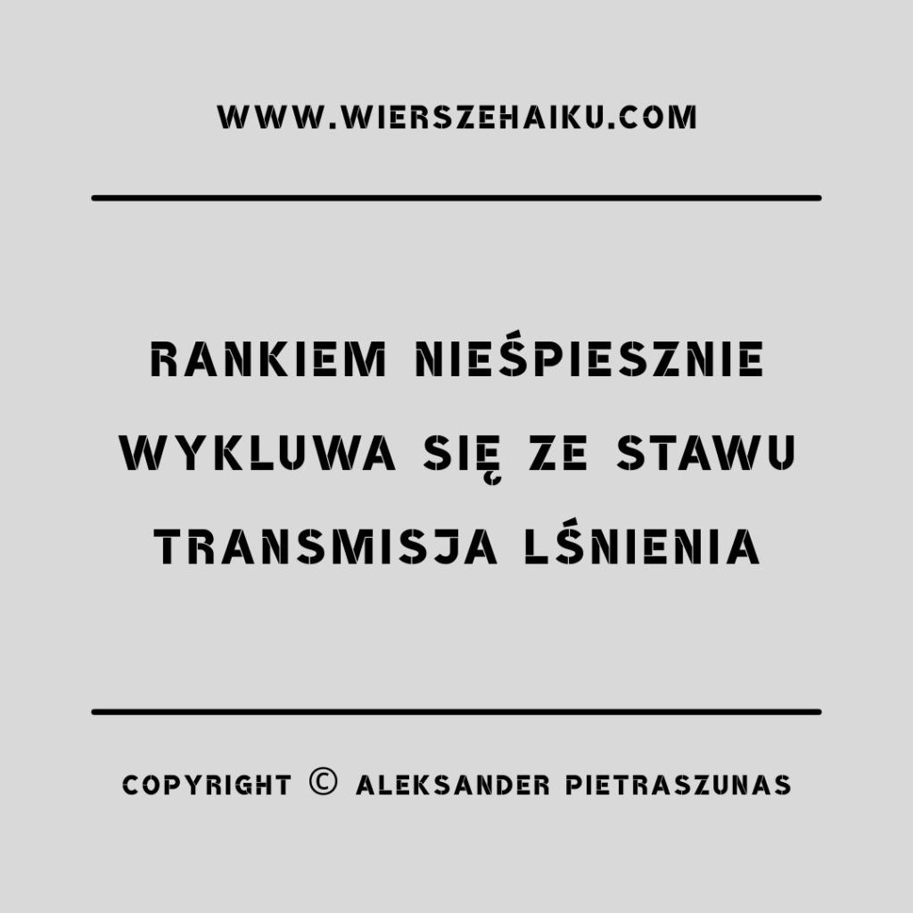 poezja haiku :

rankiem nieśpiesznie
wykluwa się ze stawu
transmisja lśnienia