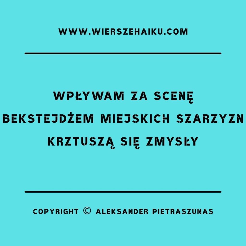 poezja haiku :

wpływam za scenę
bekstejdżem miejskich szarzyzn
krztuszą się zmysły