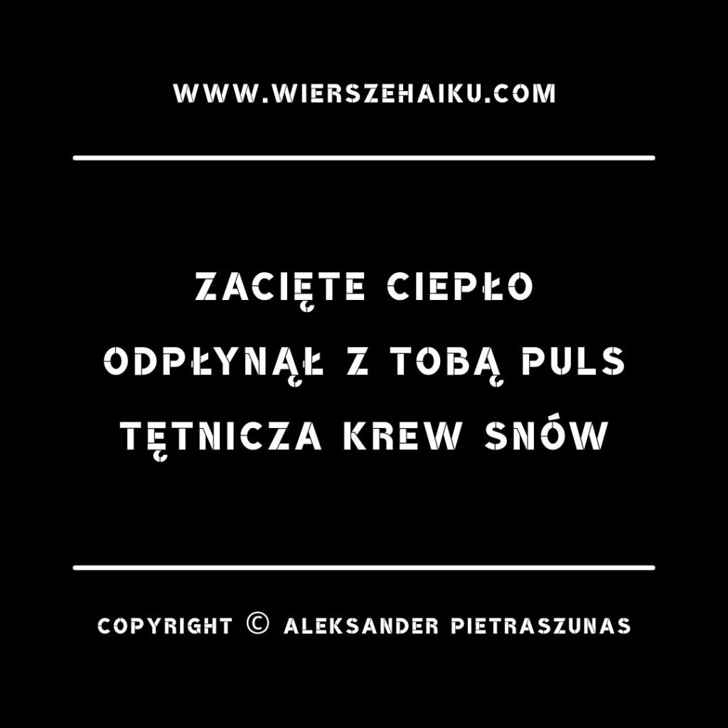 poezja haiku :

zacięte ciepło
odpłynął z tobą puls
tętnicza krew snów