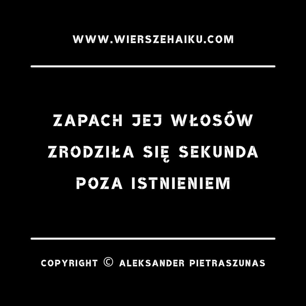poezja haiku :

zapach jej włosów
zrodziła się sekunda
poza istnieniem