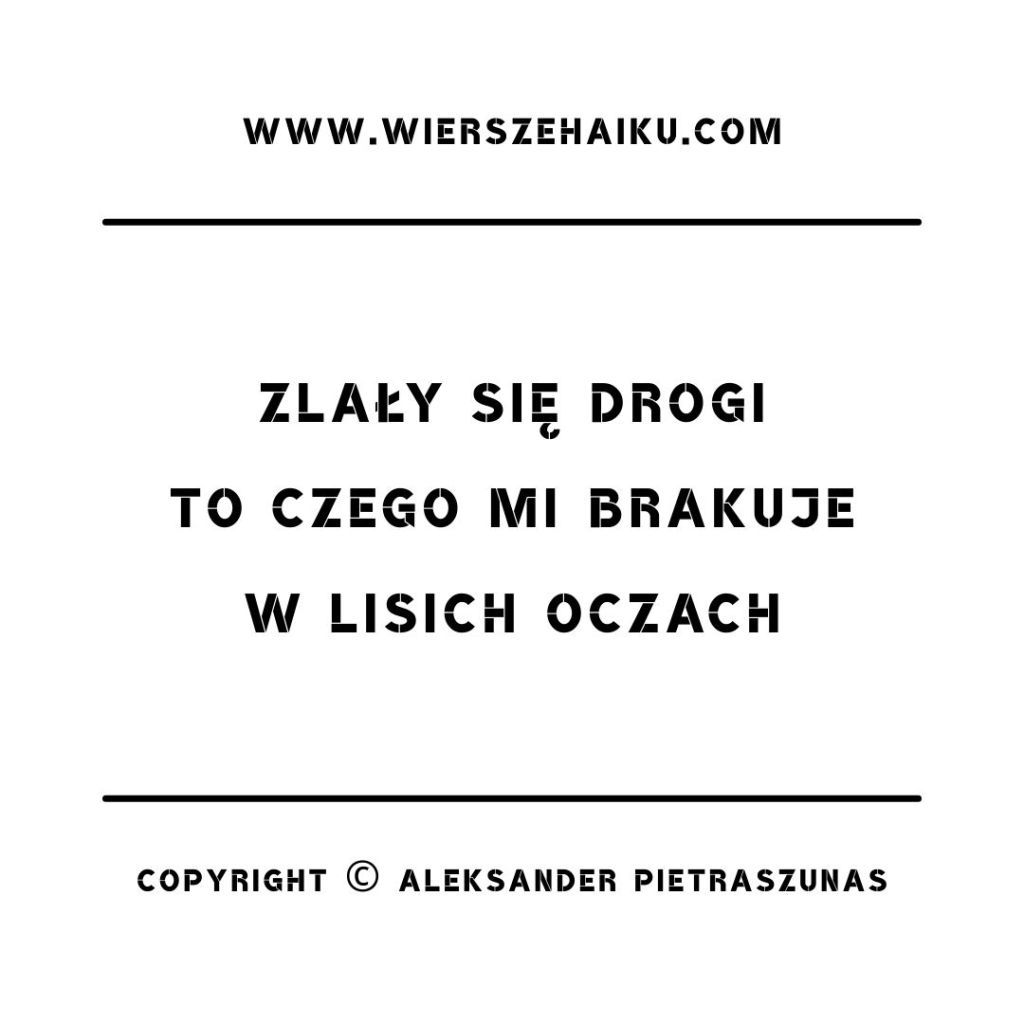 haiku o lisie - zlały się drogi