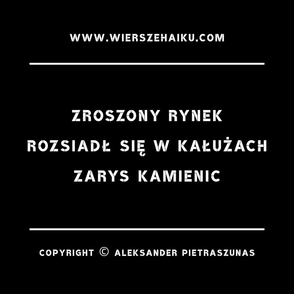 wiersze haiku - zroszony rynek